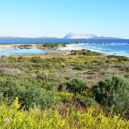 Le Maree Miriacheddu Apartment San Teodoro (Sardinia)